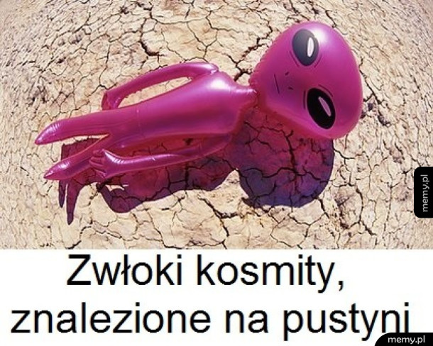 Znalezisko