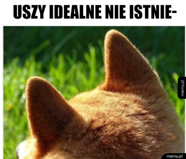 Pieściłbym