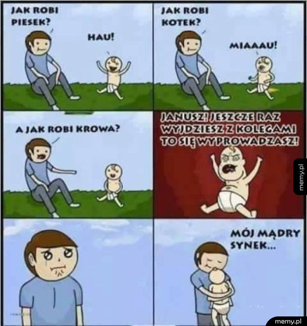 Brawo synu!