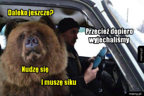 Typowa wycieczka