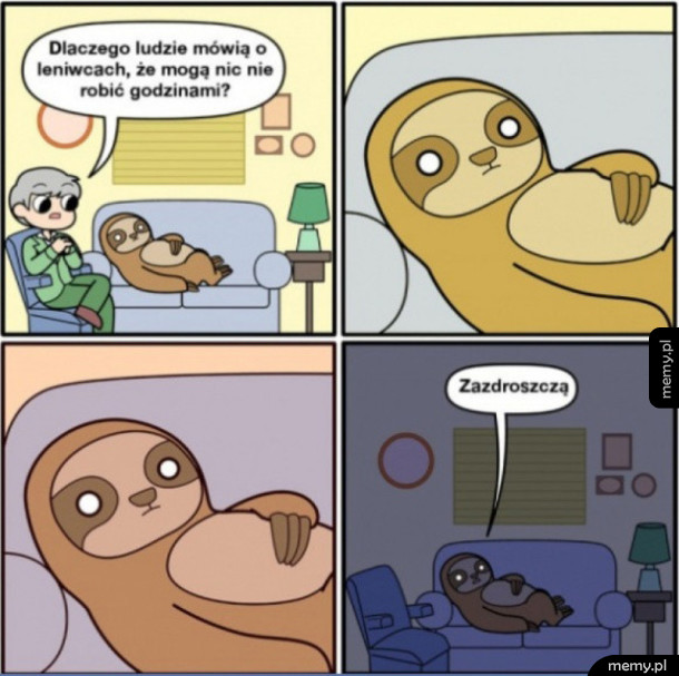 Leniwce