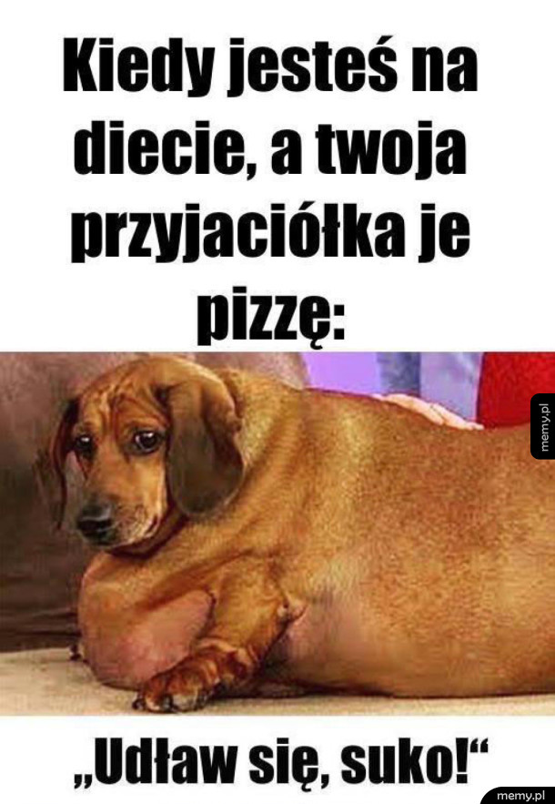 Życie na diecie