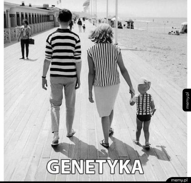 Tak to działa