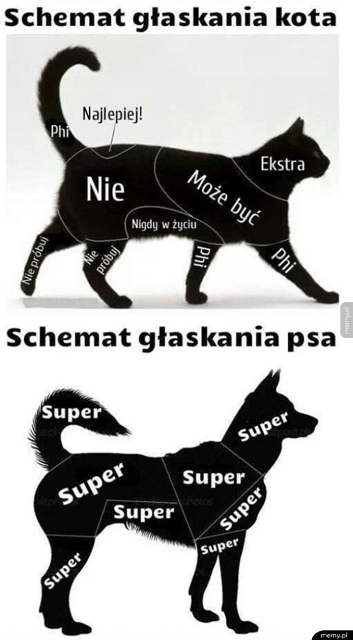   Poradnik