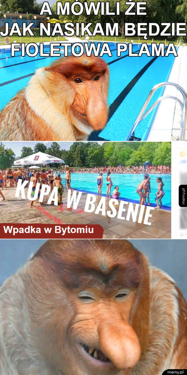 Wpadka