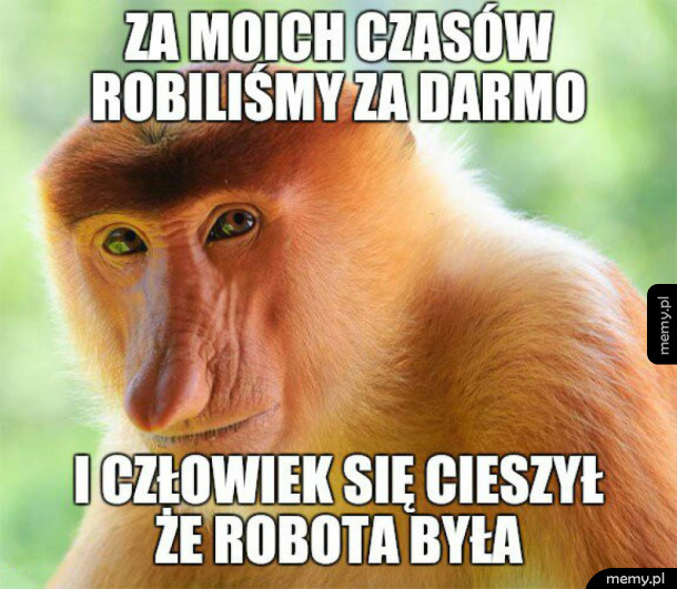 Polak