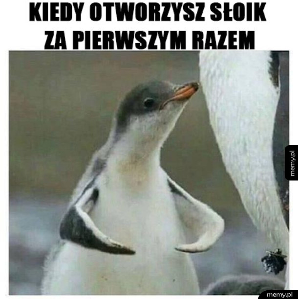 Super Siłacz