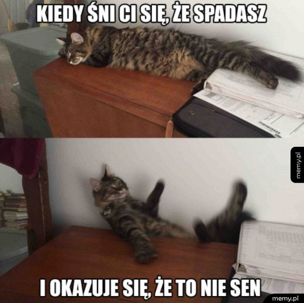 Kurde przypał
