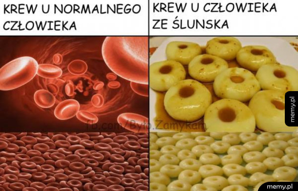 Ślunska krew!