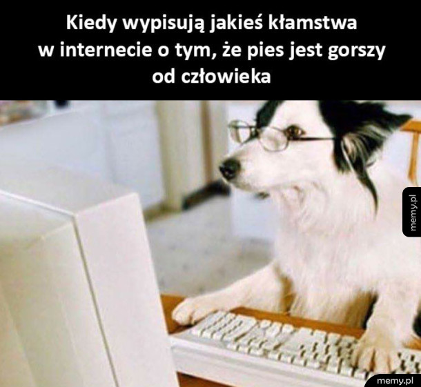 Kłamstwa w internecie