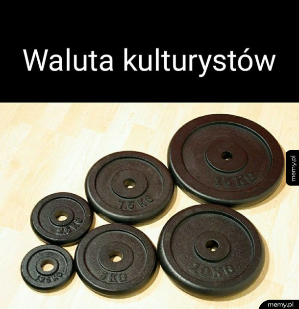 Waluta