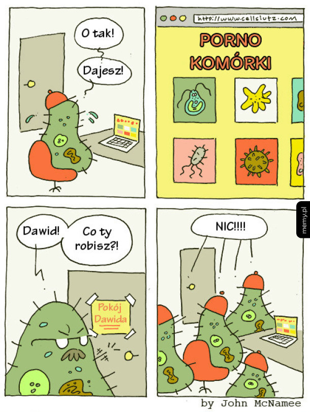 Komórki