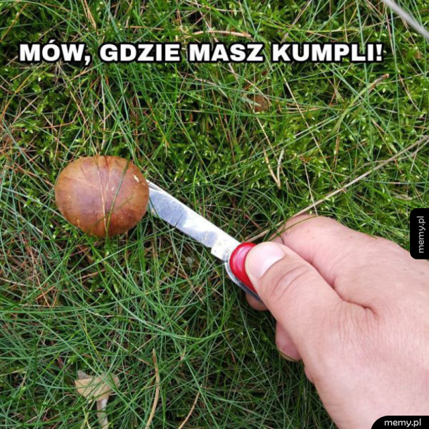 Gadaj ale już!