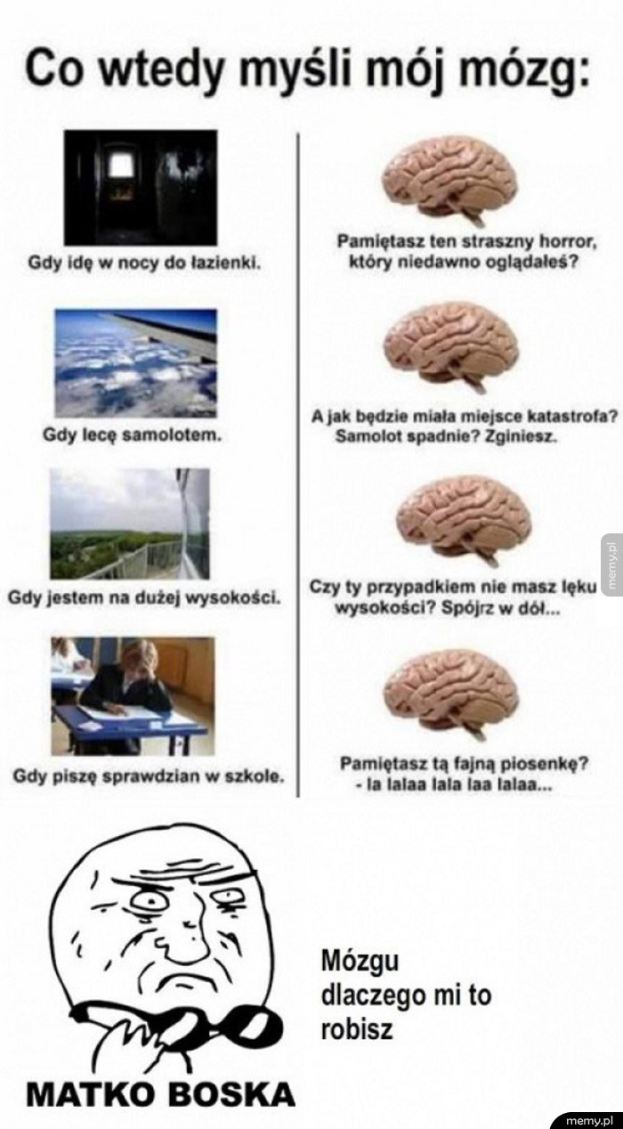 Mózg