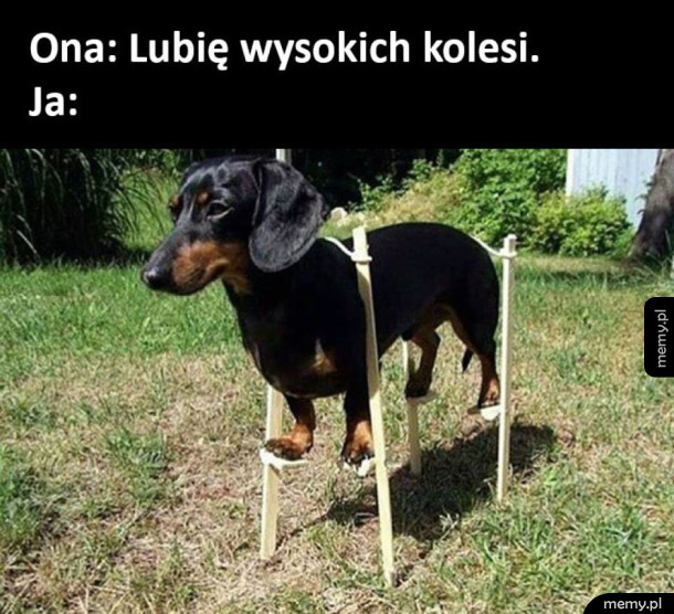 Jestem wysoki