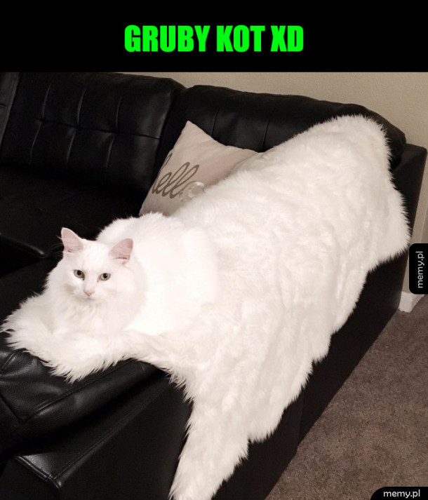 iluzja optyczna