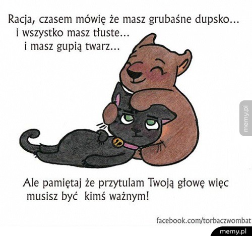 Torbacz i przyjaciel