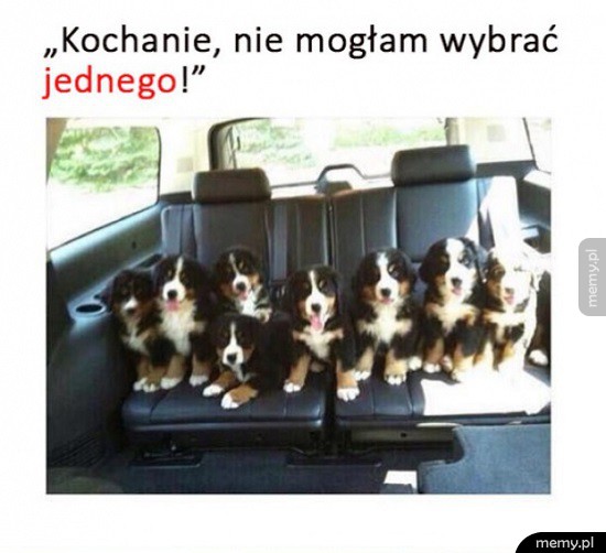 Nawet nie jestem zły