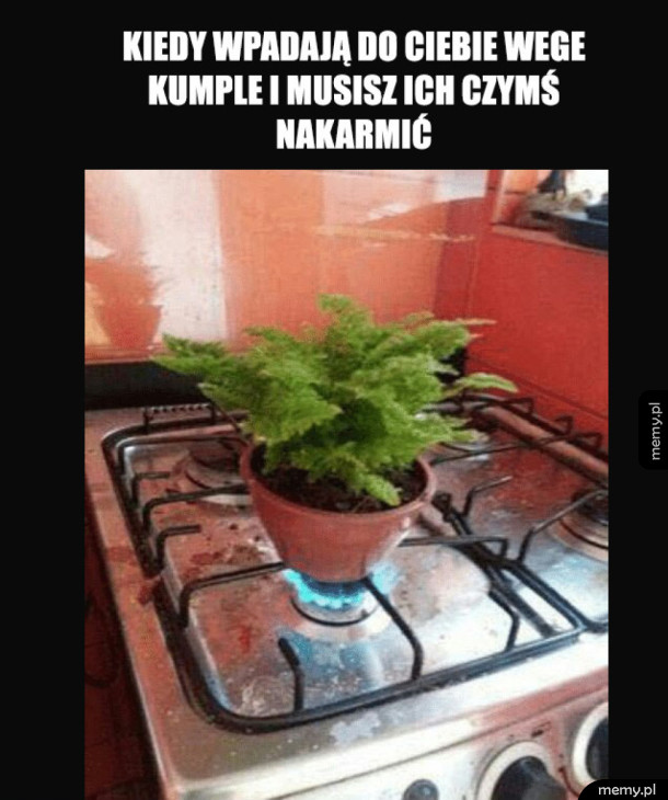 Heheszki