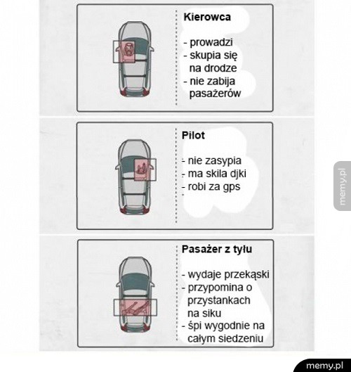 Trafny opis pasażerów