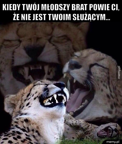 Młodszy brat