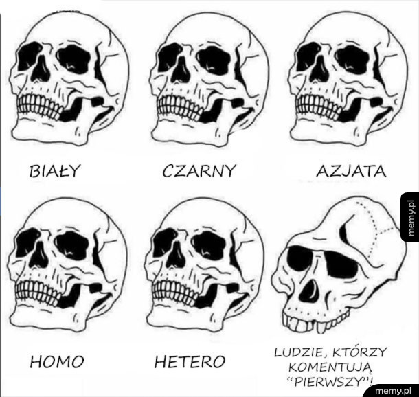 Czaszki ludzi