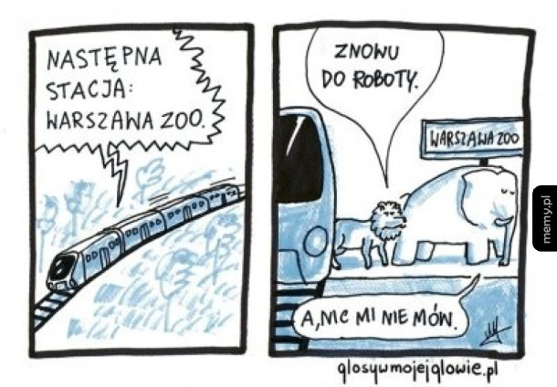 szara rzeczywistość