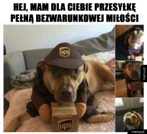 Specjalna przesyłka