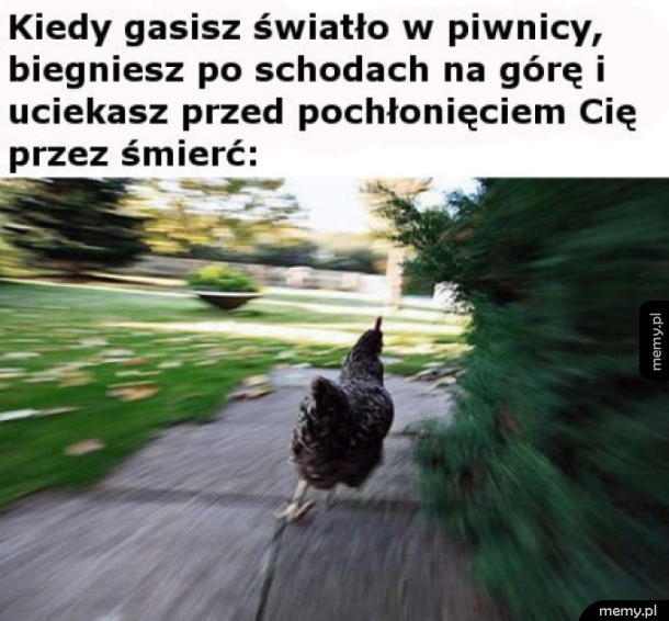 Ratuj się kto może!
