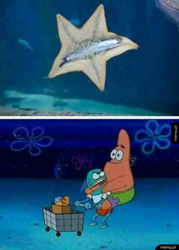 Spongebob