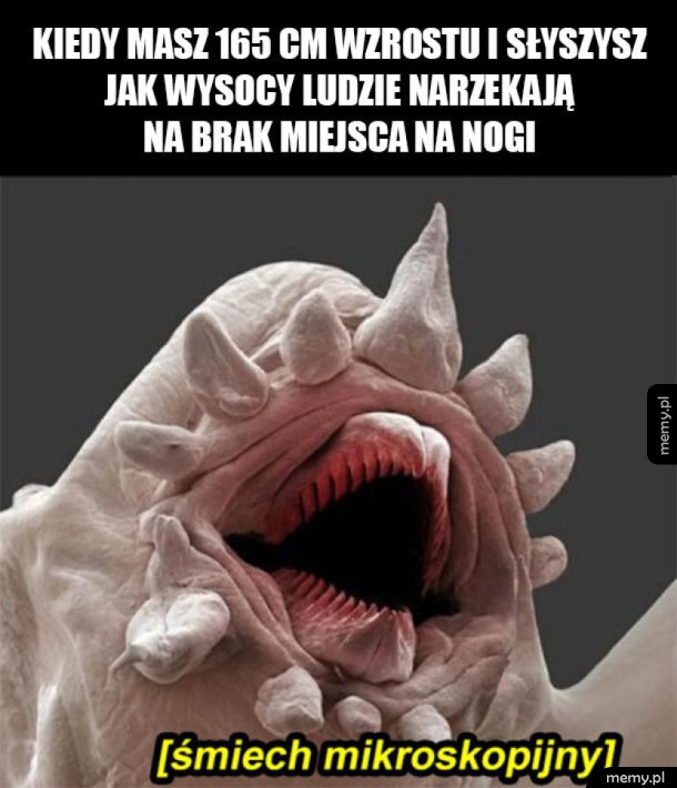 Beka z nich