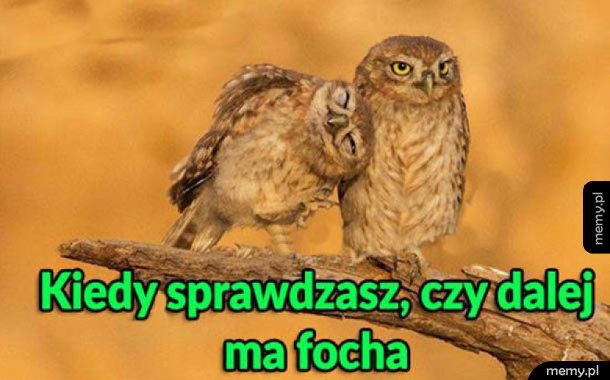 Kiedy sprawdzasz