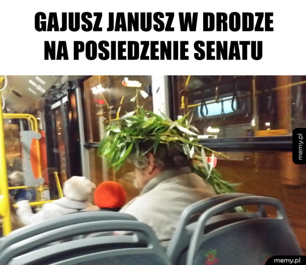 Rzymski polityk