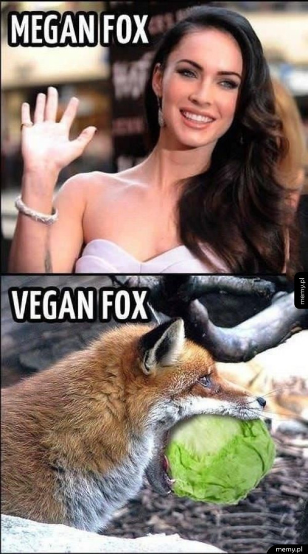 Fox