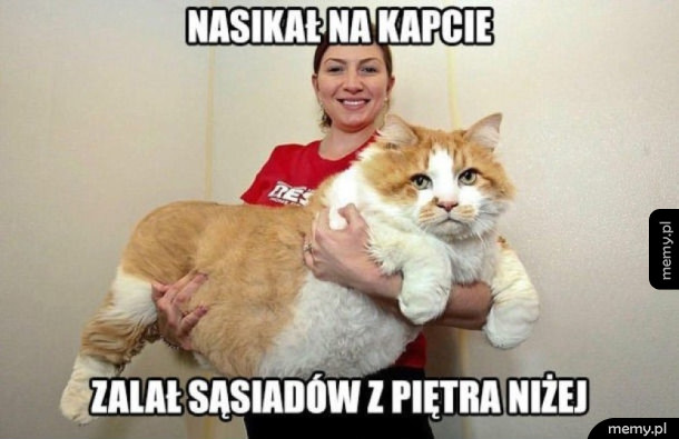 Kitku