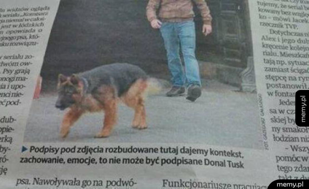 Wpadka w gazecie