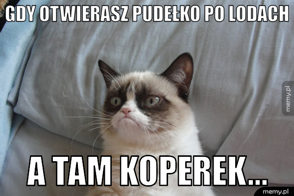 Gdy otwierasz pudełko po lodach