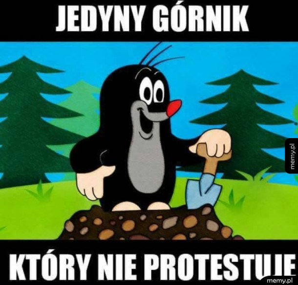 Najlepszy górnik