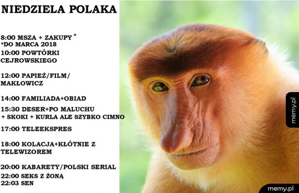 Niedziela idealna