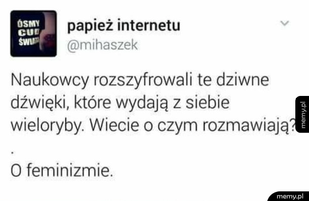 Wielkie odkrycie
