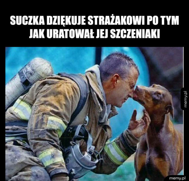 Wdzięczność