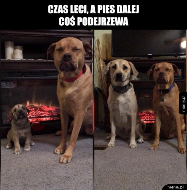 Wspólne zdjęcie