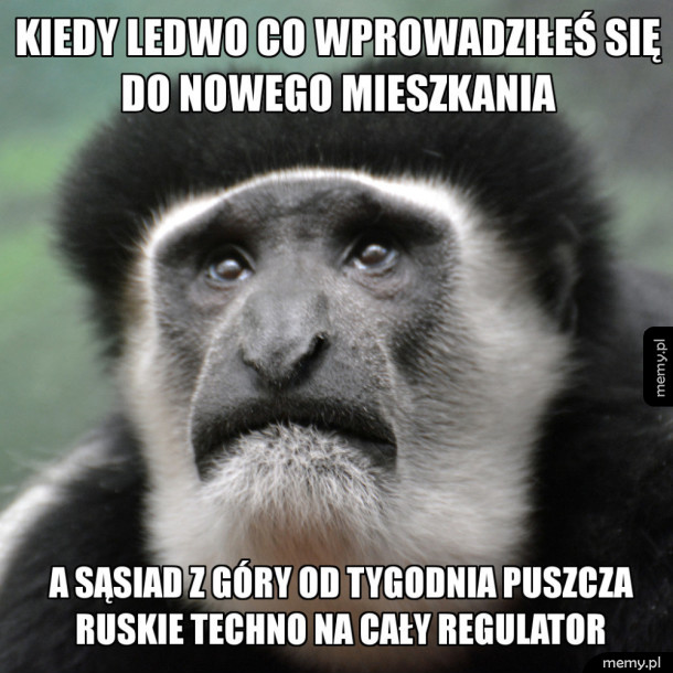 Somsiad