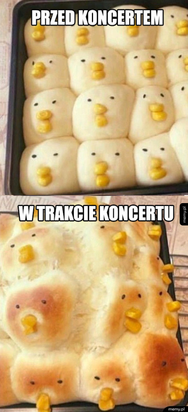 Koncerty takie są