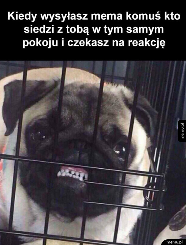 Hehe no śmiej się