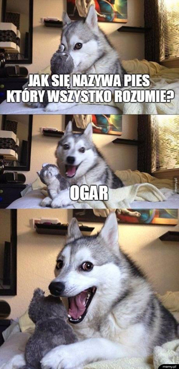 Suchar od Pieseł