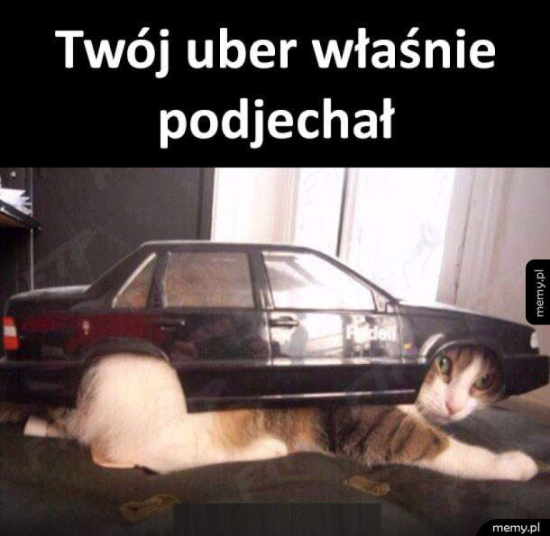 Uber