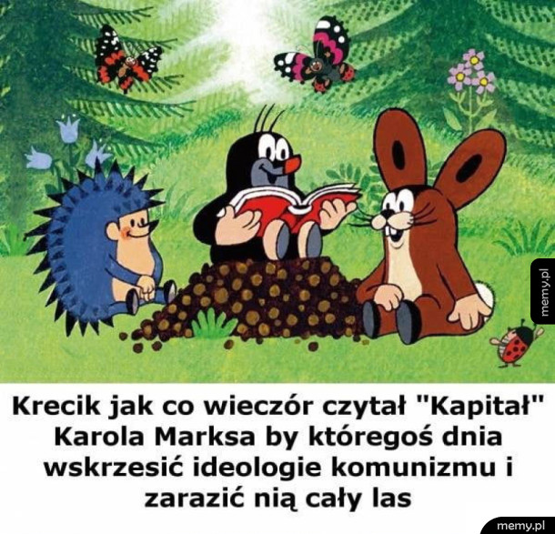 Krecik