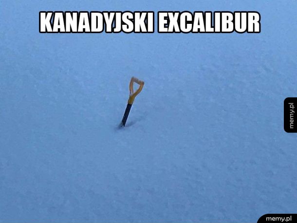 Jak go wyciągniesz to zostaniesz królem