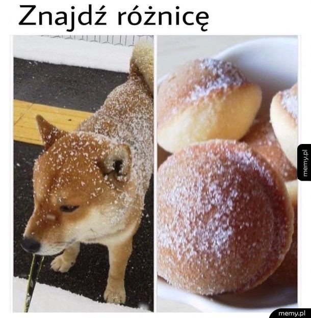 Pączuchy